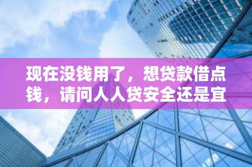 现在没钱用了，想贷款借点钱，请问人人贷安全还是宜人贷安全？