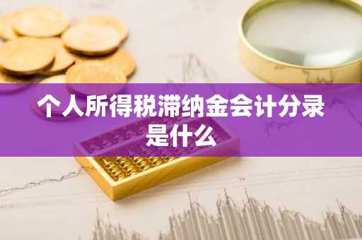 个人所得税滞纳金会计分录是什么