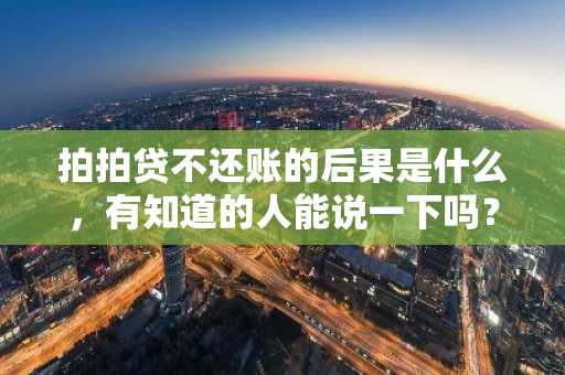 拍拍贷不还账的后果是什么，有知道的人能说一下吗？