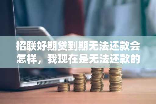 招联好期贷到期无法还款会怎样，我现在是无法还款的状态