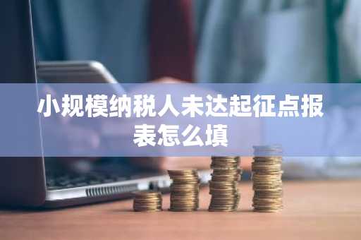 小规模纳税人未达起征点报表怎么填