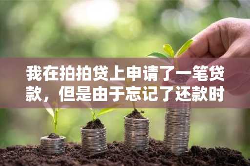我在拍拍贷上申请了一笔贷款，但是由于忘记了还款时间，导致逾期了一天，请问有什么后果吗？