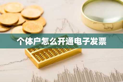 个体户怎么开通电子发票