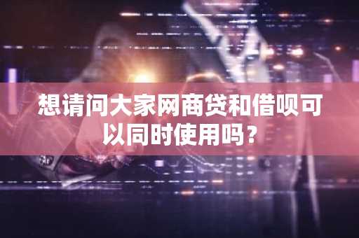想请问大家网商贷和借呗可以同时使用吗？