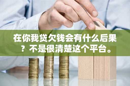 在你我贷欠钱会有什么后果？不是很清楚这个平台。