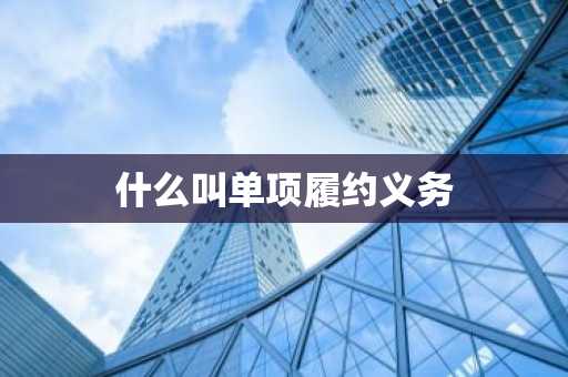 什么叫单项履约义务