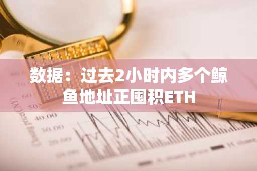 数据：过去2小时内多个鲸鱼地址正囤积ETH