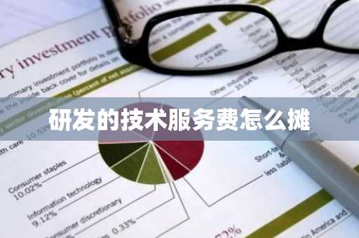 研发的技术服务费怎么摊