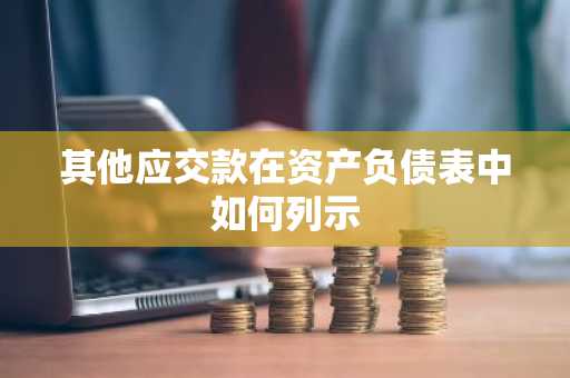 其他应交款在资产负债表中如何列示