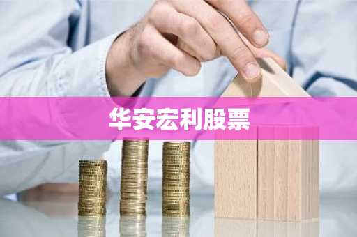 华安宏利股票