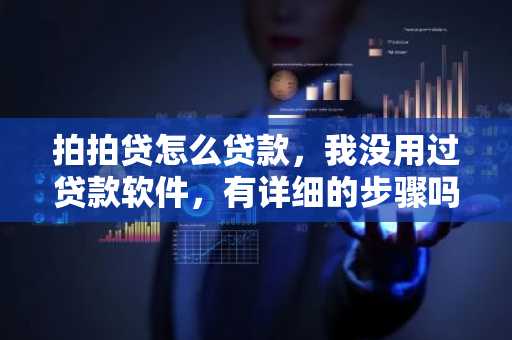 拍拍贷怎么贷款，我没用过贷款软件，有详细的步骤吗？