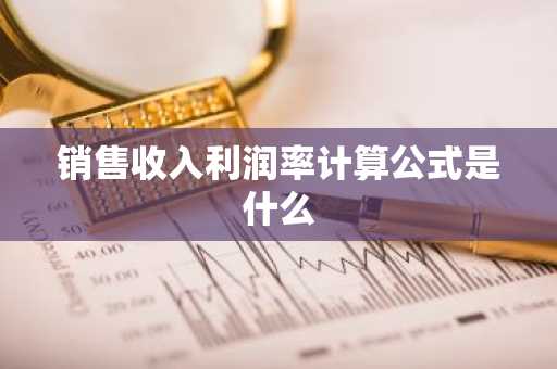 销售收入利润率计算公式是什么