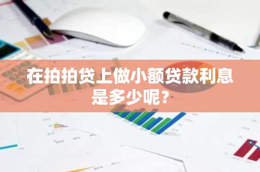 在拍拍贷上做小额贷款利息是多少呢？