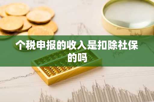 个税申报的收入是扣除社保的吗