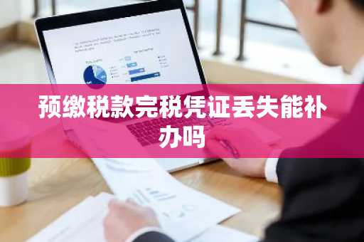 预缴税款完税凭证丢失能补办吗