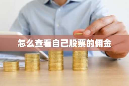 怎么查看自己股票的佣金