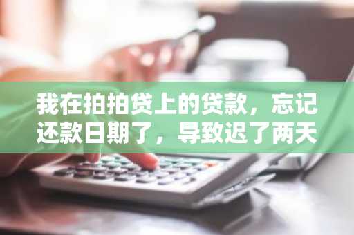 我在拍拍贷上的贷款，忘记还款日期了，导致迟了两天还款，会怎样？