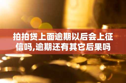 拍拍贷上面逾期以后会上征信吗,逾期还有其它后果吗？