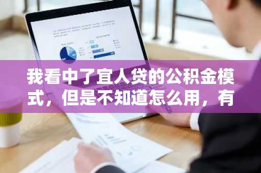 我看中了宜人贷的公积金模式，但是不知道怎么用，有人知道么？