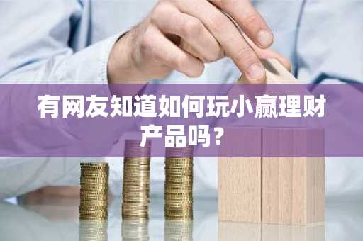有网友知道如何玩小赢理财产品吗？