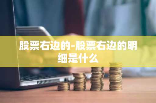 股票右边的-股票右边的明细是什么
