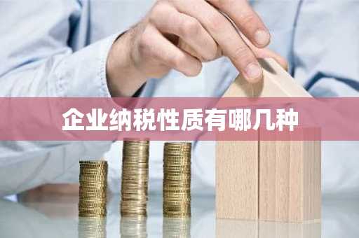 企业纳税性质有哪几种