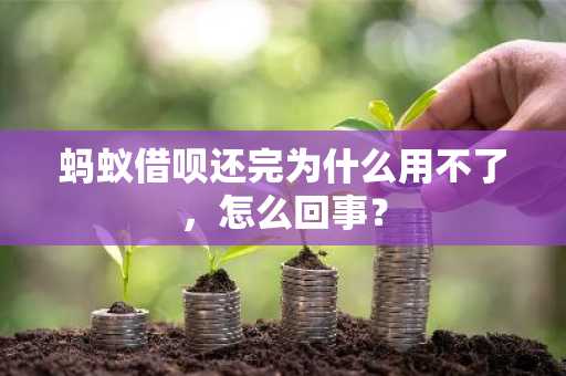 蚂蚁借呗还完为什么用不了，怎么回事？