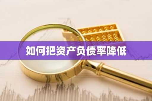 如何把资产负债率降低