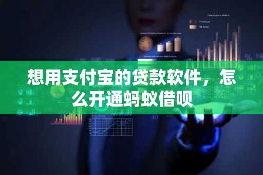想用支付宝的贷款软件，怎么开通蚂蚁借呗