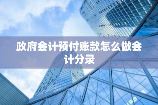 政府会计预付账款怎么做会计分录
