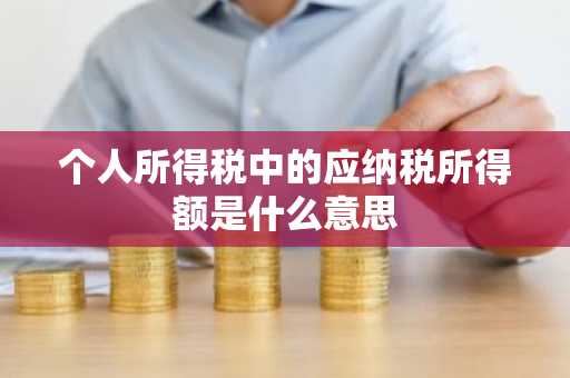 个人所得税中的应纳税所得额是什么意思