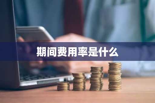 期间费用率是什么