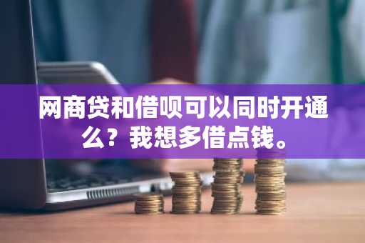 网商贷和借呗可以同时开通么？我想多借点钱。