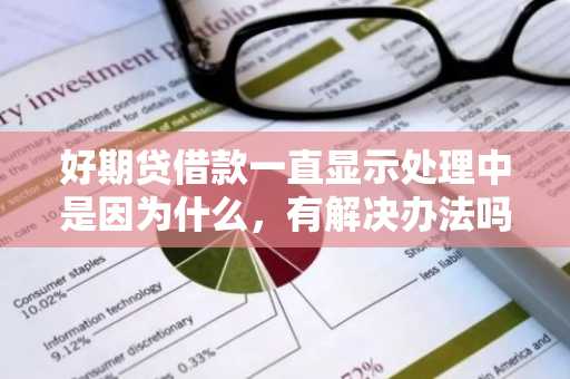 好期贷借款一直显示处理中是因为什么，有解决办法吗？