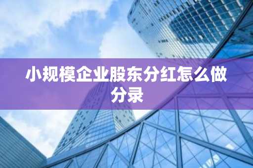 小规模企业股东分红怎么做分录