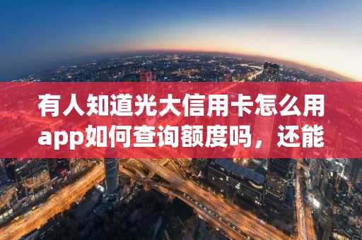 有人知道光大信用卡怎么用app如何查询额度吗，还能怎么查啊？
