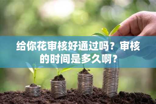 给你花审核好通过吗？审核的时间是多久啊？