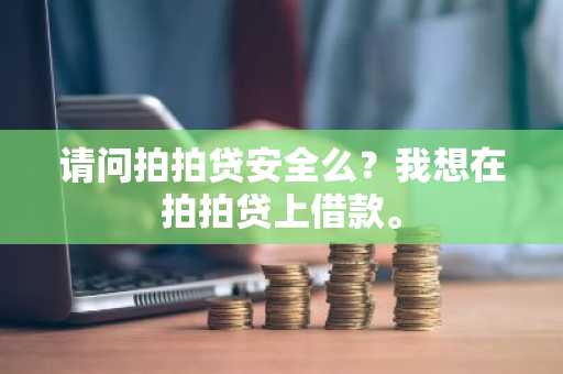 请问拍拍贷安全么？我想在拍拍贷上借款。