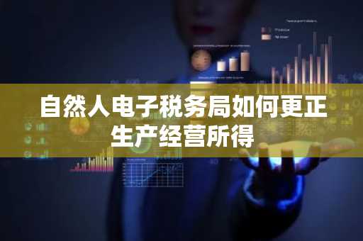 自然人电子税务局如何更正生产经营所得