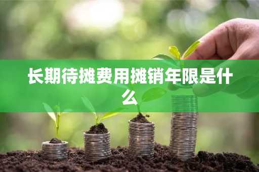 长期待摊费用摊销年限是什么