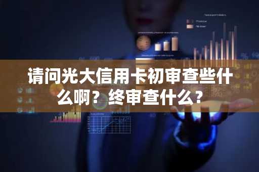 请问光大信用卡初审查些什么啊？终审查什么？
