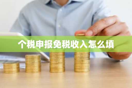 个税申报免税收入怎么填