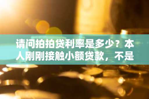 请问拍拍贷利率是多少？本人刚刚接触小额贷款，不是很了解。