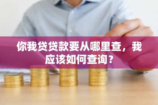 你我贷贷款要从哪里查，我应该如何查询？