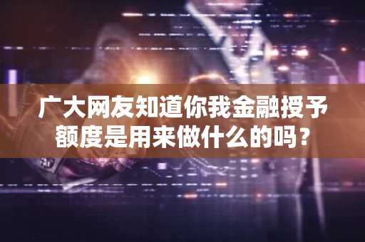 广大网友知道你我金融授予额度是用来做什么的吗？