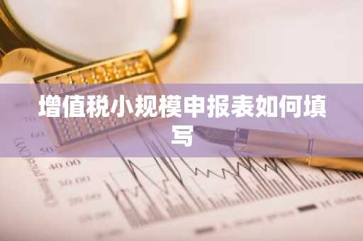 增值税小规模申报表如何填写