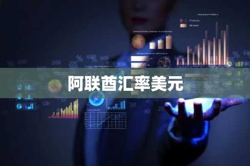 阿联酋汇率美元