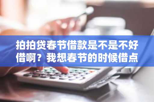 拍拍贷春节借款是不是不好借啊？我想春节的时候借点钱回家看看。