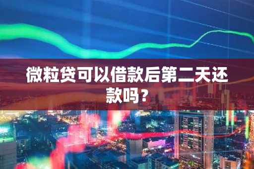 微粒贷可以借款后第二天还款吗？
