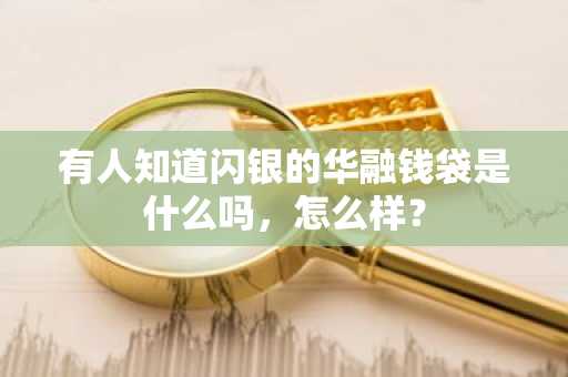 有人知道闪银的华融钱袋是什么吗，怎么样？